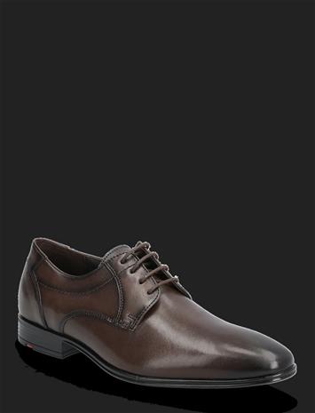 LLO25-505_229969268