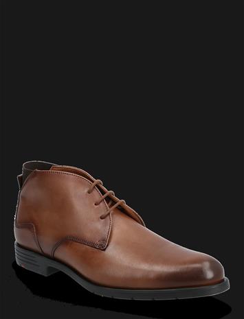 LLO25-525_229969638