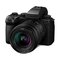 Panasonic S5IIX DC-S5 – kuva 5