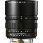 Leica Apo-Summicron-M 75mm f/2 11637