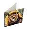 Crystal Card Kit Lion – kuva 2