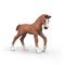 Schleich Collectible Foal Ruby – kuva 3