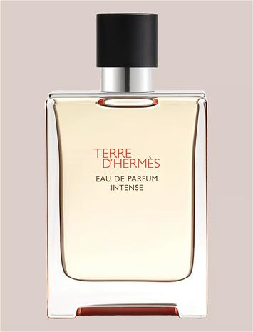 Hermès Terre d'Hermès Intense - EdP 100 ml