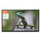 CTOUCH Riva D2 10152 – kuva 1