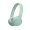 Sony WHCH535G.CE7 – kuva 1
