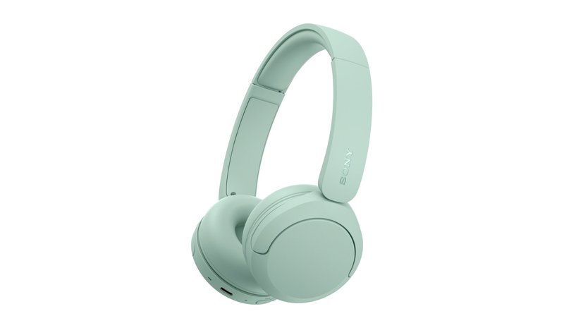 Sony U.K. WHCH530G.CE7