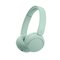 Sony U.K. WHCH530G.CE7 – kuva 3