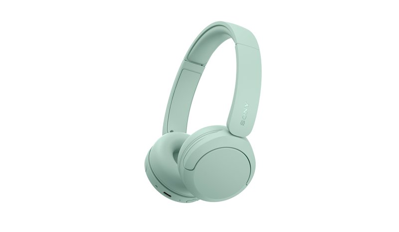 Sony U.K. WHCH530G.CE7