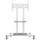 ONKRON TS1351-W