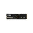 Klevv CRAS C925G 500 GB M.2 PCI Express 4.0 NVMe 3D TLC NAND K500G