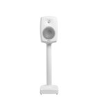 Genelec 6040BRW