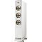 Polk Audio SIGS60EWT 74719 – kuva 2