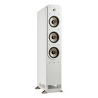 Polk Audio SIGS60EWT 74719