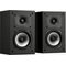 Polk Audio XT15 MXT15 – kuva 1