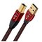 AudioQuest 3m Cinnamon USB A-B 65-08 – kuva 1