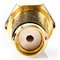 Nedis CSGB02901GD – kuva 2