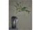 Bloomingville Eucalyptus – kuva 5