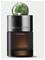 Molton Brown Tea Ceremony EdP – kuva 5
