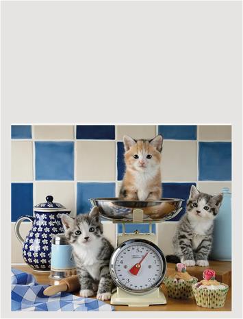 Cute Cats Palapeli 1500 palaa Ravensburger