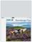 Wild Horses Palapeli 2000 palaa Ravensburger – kuva 7