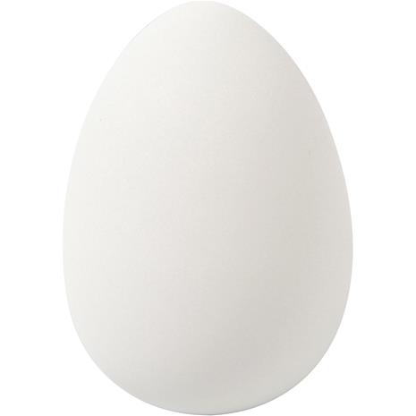 Creativ Company Goose eggs White 8st.