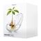 Mikamax Avocado Vase – kuva 5