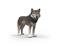 Schleich American Wolf – kuva 8