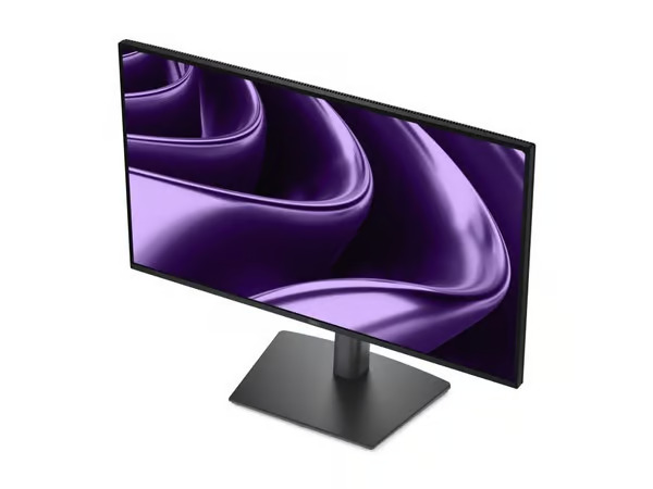 24" Dell Pro P P2426HE
