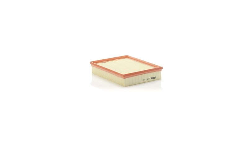 Ilmansuodatin MANN-FILTER C 25 109 – kuva 1/1