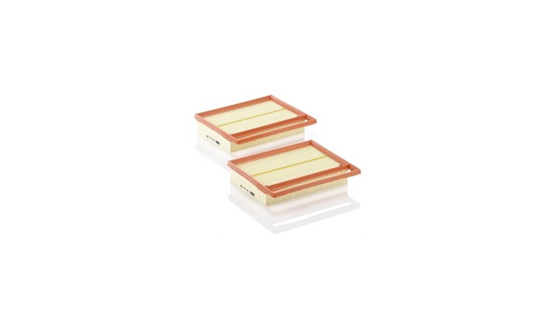 Ilmansuodatin MANN-FILTER C 25 110-2 – kuva 1/1