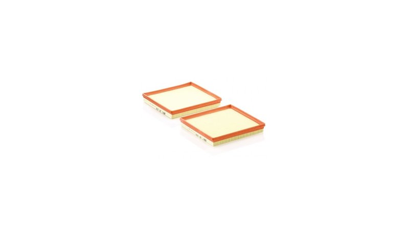 Ilmansuodatin MANN-FILTER C 26 009-2 – kuva 1/1
