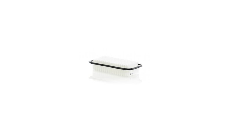 Ilmansuodatin MANN-FILTER C 2513 – kuva 1/1
