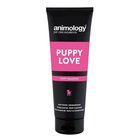 ANIMOLOGY SHAMPOON PUPPY LOVE 250ML