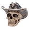 Nemesis: Skull - Wild West (15cm) KOTIIN – kuva 1