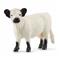 Schleich Galloway-lehmä – kuva 7