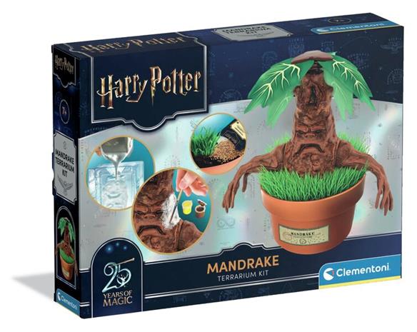 Clementoni Harry Potter - Mandragola - Terrarium Kit