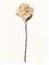 Bloomingville Hydrangea Stem - Cream - H65CM – kuva 4