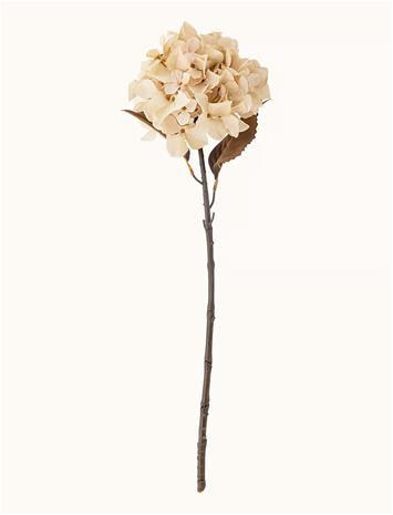 Bloomingville Hydrangea Stem - Cream - H65CM