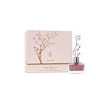 Aurora Deciduous Spring Eau De Parfum For Women 100 ml