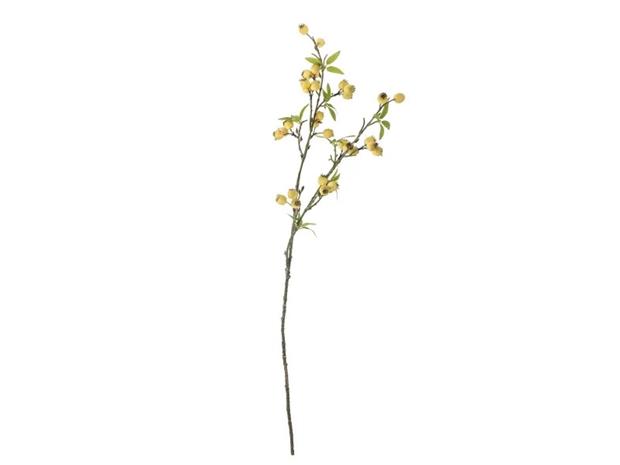 Bloomingville Hawthorn – kuva 2/4