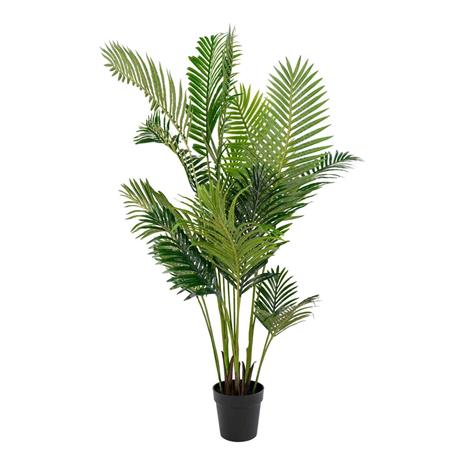 Tekokasvi Areca, K175 cm – kuva 3/3