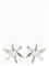 Pilgrim Prism Earrings Silver-Plated - Silver - ONE SIZE – kuva 3