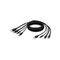 Belkin F1DN2CCBL-MP6T – kuva 1