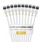 StarTech.com 6ASTP34WHS15CM10PK – kuva 1