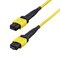 StarTech.com OS2MTP12AOFNP5M – kuva 1