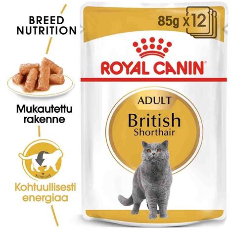 Royal Canin British Shorthair 85g, 48-pack