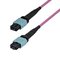 StarTech.com OM4MTP12BOFNP2M – kuva 1