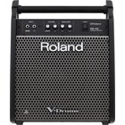Roland PM-100