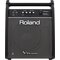 Roland PM-100 – kuva 1
