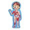Hape Human Body E1635 – kuva 1